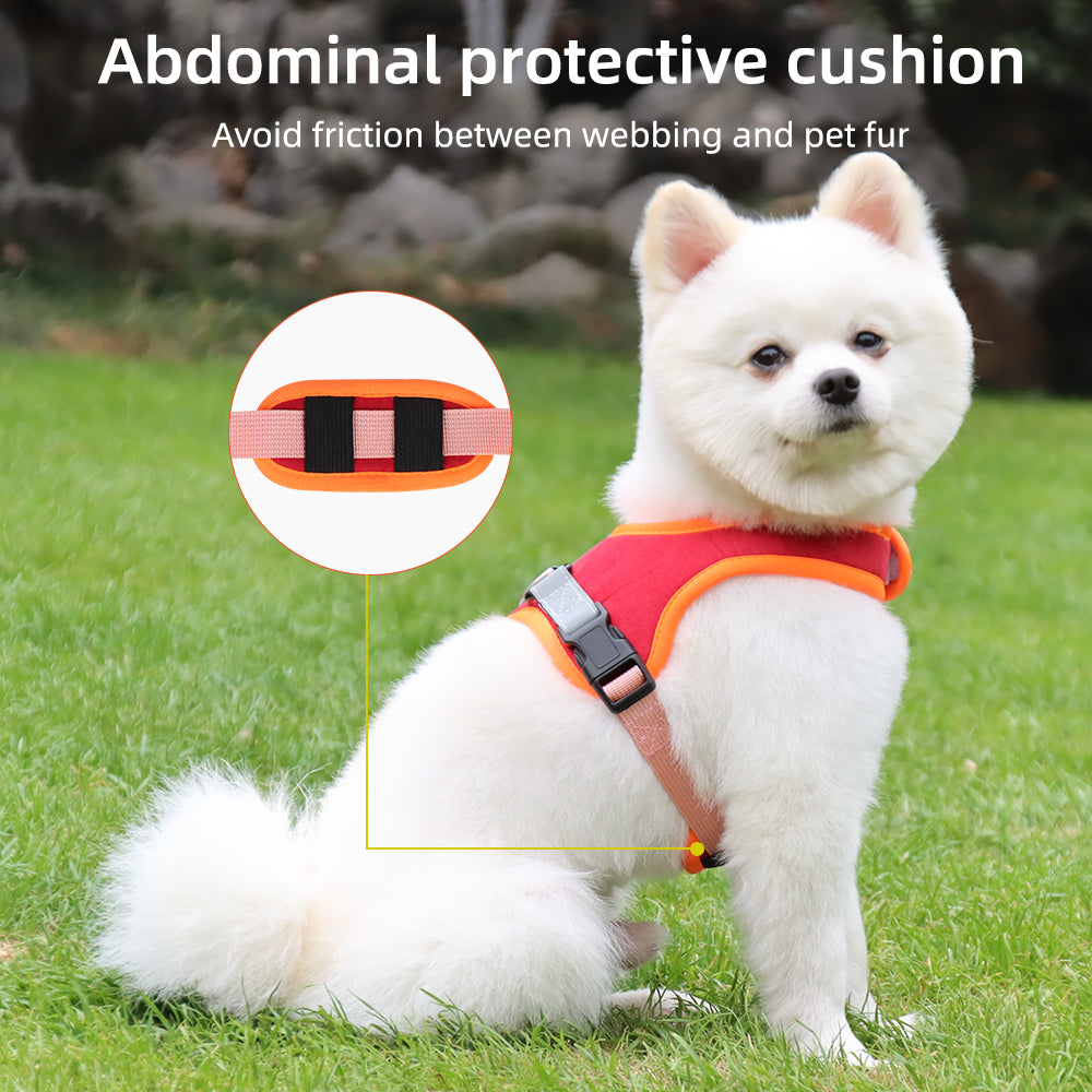 SaddleSoft Pet Harness & Leash Set